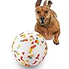 Interactive Ball for Training Dog Catch
