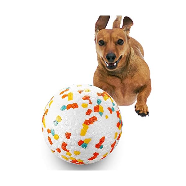 Interactive Ball for Training Dog Catch Buy Online