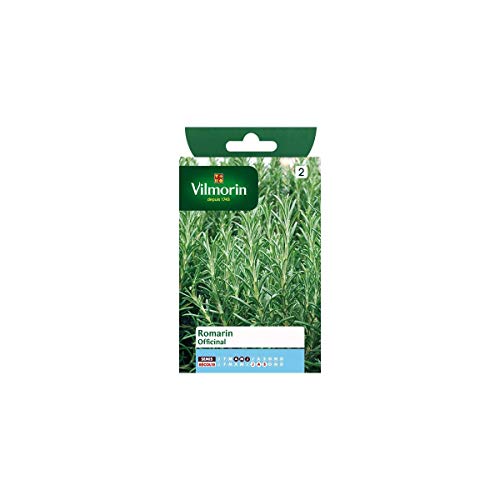 Vilmorin - Semi Rosmarino Officinali