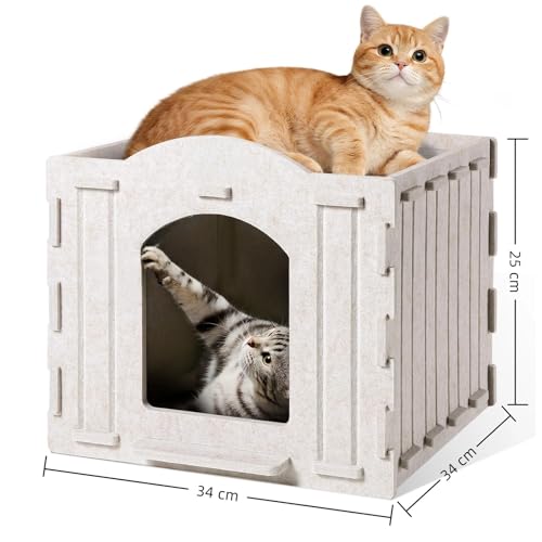 Plateforme anti-rayures pour chat actif plateau permanent durable