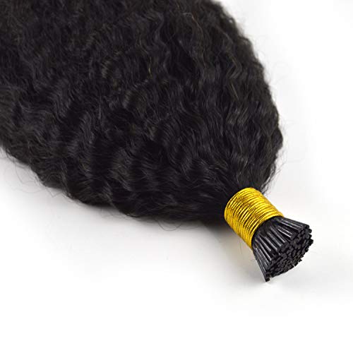 Afro kinky curly I Tip hair extension 100% human hair 1g/strand 100g natural color virgin hair (16, Natural Color)_AB