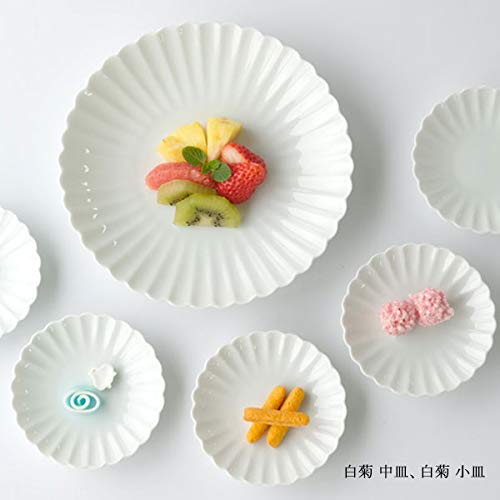 たち吉　白菊　小皿、中皿セット 楽天市場】和食器 中皿 取り皿 取皿 小皿【5点セット】「 たち吉