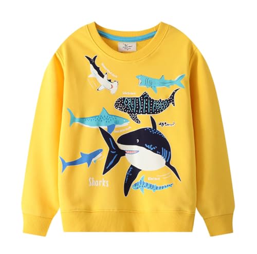 Boys Sweatshirts Long Sleeve Sweatshirts T-shirts Crew Neck Cotton Casual Sweatshirts Cartoon Tops for Boys-190