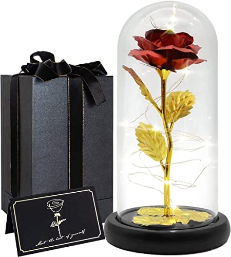 Befol Kit de rose, La Belle et la Bête Rose Eterne Élégant dôme en verre avec base lumières LED, rose vif et rouge, cadeau pour la Saint-Valentin, la fête des mères, un anniversaire, un mariage Cover