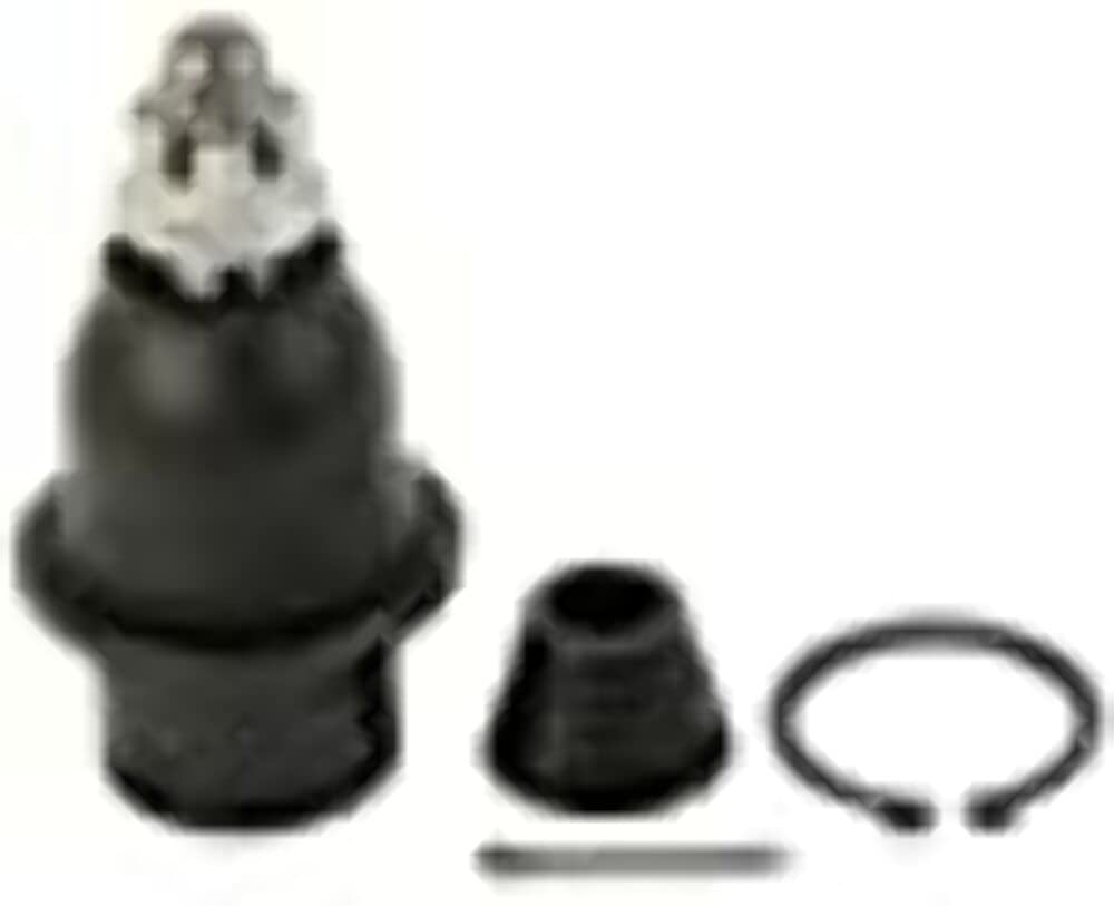 耳小骨 Amazon.co.jp: 耳小骨，20倍大，高精度モデル BONElike™ - 3B