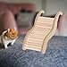 Hamster Activity Climbing Structure with Stairs and Platforms for Small Pets, Small