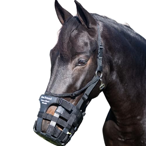 Filete de boca ajustable Cob Intrepid International para salto y doma