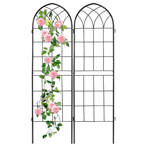 LZRS Rustic Iron Arch Trellis