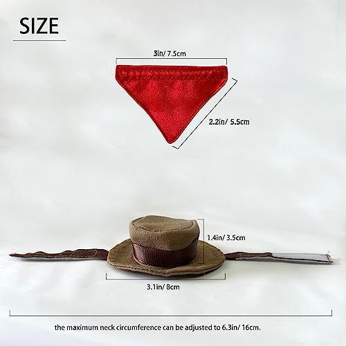 Sombrero y bandana cowboy para dragón barbudo y pequeños reptiles miniatura 5
