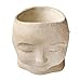 ART & ARTIFACT Head Planters for Outdoor Plants Face Planters Pots for Indoor Plants, Woman Head Planter Man Head Planter Pot with Drainage - Man