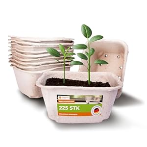 Produktiv Handel Anzuchttöpfe eckig 225 Stück