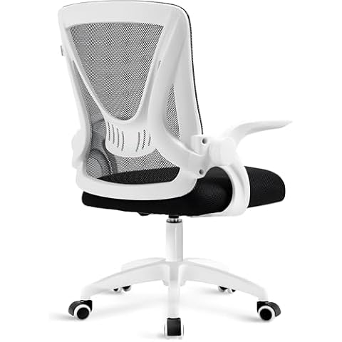 Blisswood Ergonomic Mesh Office Chair Cover