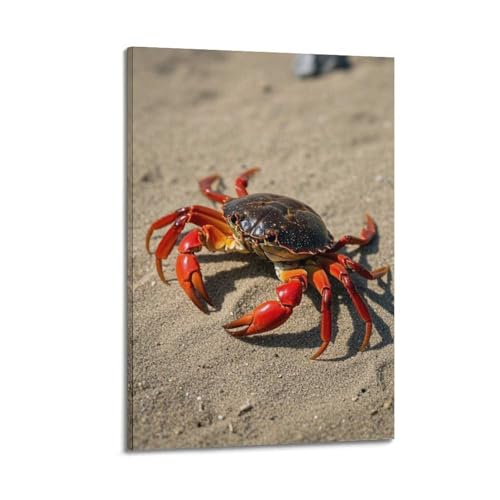 Poster crabe rouge ZHOUKEG décoration poétique et inspirante pour une ambiance bord de mer