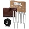 Resonance Tuning Forks for Healing ...