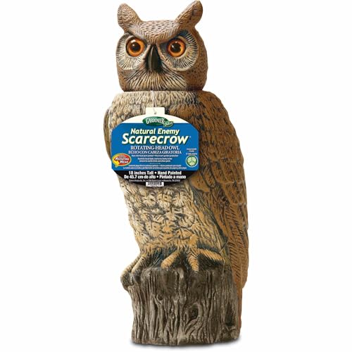 Dalen Fake Owl Decoy to Scare Birds Away from Gardens, Rooftops, and Patios - Scarecrow Provides Chemical-Free Pest Control - Safe and Humane, 18' 360º Rotating Head