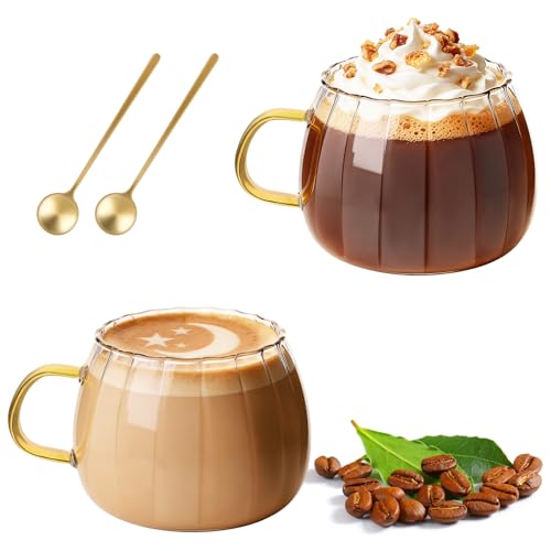 LOOFORE Glass Coffee Mugs 15oz 460ml with Handle and Spoon Set of 2