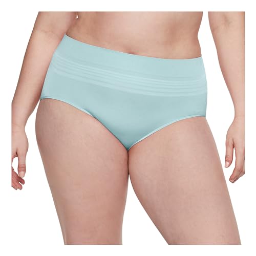 Image of Warner's No Pinching No Problems Seamless Brief Underwear