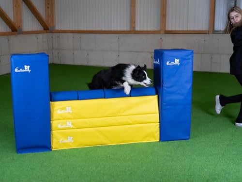 Callieway Turnier Agility Mauer „Bounce Over - Soft“ – alle FCI Sprunghöhen (gelb/blau)