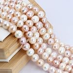 Jewelry Making Craft Natural 8-9mm Nearly Round A+ Mixed Freshwater Pearl Loose Beads for Necklace Bracelet DIY Strand 14"