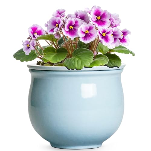Teagas Self-Watering Ceramic Planter
