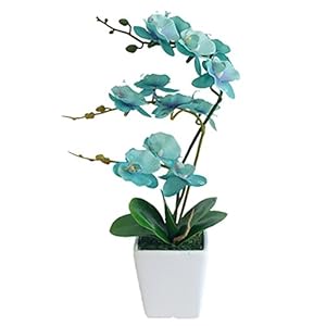 15 Inches Tall Artificial Silk Phalaenopsis Orchid Flower Plant Pot Teal Arrangements (Golden Blue)