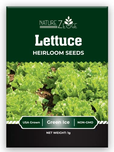 Lettuce Seeds For Planting, Red Romaine Lettuce, Bibb Butter Lettuce, Black Seeded Simpson, Green Ice Iceberg Lettuce, Non-Gmo… #TOP2
