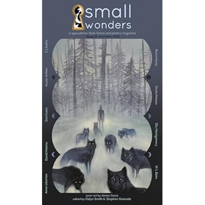 Small Wonders Magazine Issue 17