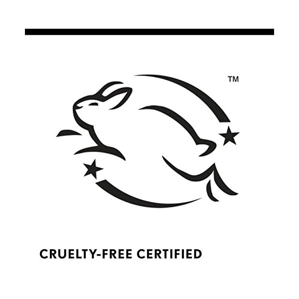 COVERGIRL Smoothers Lightweight BB Cream, 1 Tube (1.35 Ounce), Light to Medium 810 Skin Tones, Hydrating BB Cream with SPF 21 Sun Protection (Packaging May Vary)