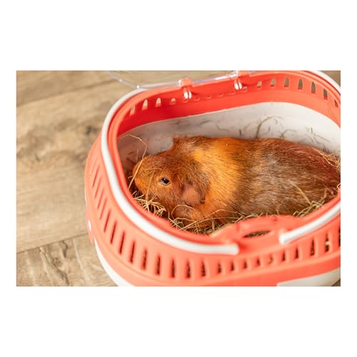 trixie pico transport crate small pet carrier portable travel carrier for small pets hamsters guinea pig lizards