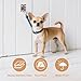 Dog Traction Rope Hook for Wall - Heavy Duty Stainless Steel Pet Holder | Escape-Proof Secure Parking Hanger for Indoor Outdoor Yard Porch Garage Patio Training Grooming Play Small Large Dogs