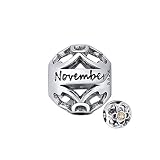 Birthstone Charms for Bracelet or Necklace for Women by Ginger Lyne | European Style Bead Sterling Silver Cubic Zirconia Gift Idea Birth Month Jewelry for Her November