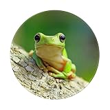 Tappetino Scrivania Funny Green Tree Frog 7 Mousepad Lavabile Tappetino per Mouse Antiscivolo Mouse Pad per Computer Lavoro Accessori Scrivania 20X20 Cm
