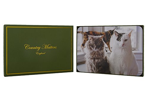 Sets de table chats Country Matters multicolores carton liège - 2