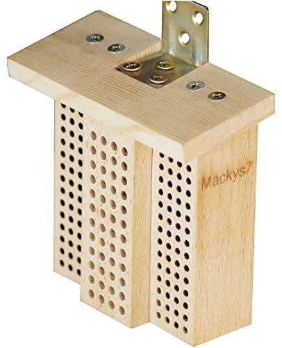 MACKYS7 Hotel Api Solitarie | Arnia Api Selvatiche...