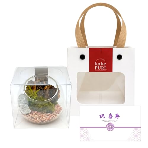 �ۃv�� �M�t�g �e�����E�� �K���X�h�[�� ��8 �E�b�h �i�`������ �ԃ��x�� ��� �o�b�O ���b�Z�[�W�J�[�h�t �v���U�[�u�h �C���e���A �ϗt �v���[���g ��̓� ���̓� �����s�v 01449AZ