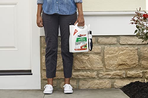 Image of Tomcat Repellents Rodent Repellent Ready-to-Use with Comfort Wand For Indoor and Outdoor Mouse and Rat Prevention, Peppermint Oil Spray for Rodents with Cinnamon, Garlic Essential Oils,1 gal. (2-Pack)
