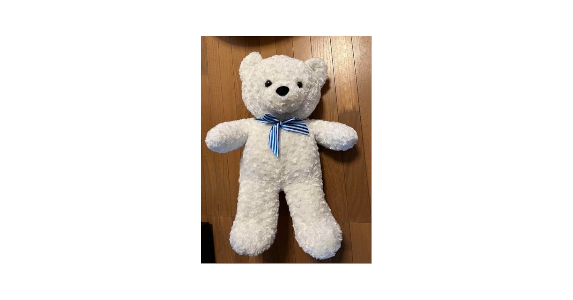 Amazon.co.jp: 特大 白クマ ぬいぐるみ 縦70cm 横50cm : おもちゃ