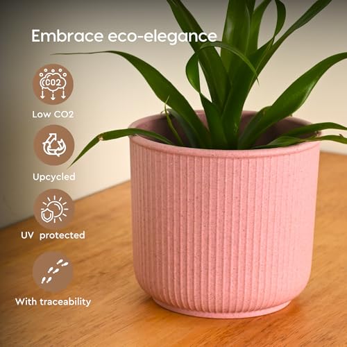 Image of Eha Earth Friendly Statement Pot 4 Inch Pots and Planters with Growmix |Set of 2| Table Top Planters for Gifting | Bamboo Based | Planter for Indoor & Balcony Window Flower Pots|Innocent