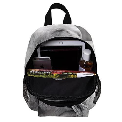 Sac à dos pour garçons style multicolore 7 bleu ciel compact 30,5 cm - 5