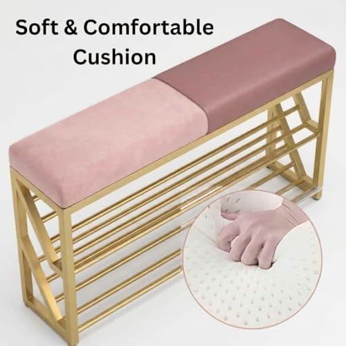 Image of Entryway Shoe Rack with Cushioned Seat, Shoe Bench for Entry, 2 Shelves Storage Bed Bench