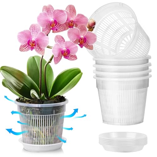 T4U Orchid Pot 6 Pack 11cm Orchid Pots with Holes and Saucers Clear Orchid Pots for Repotting Plastic Flower Plant Pot for Indoor Outdoor Plants Slotted Orchids Planter for Root Health