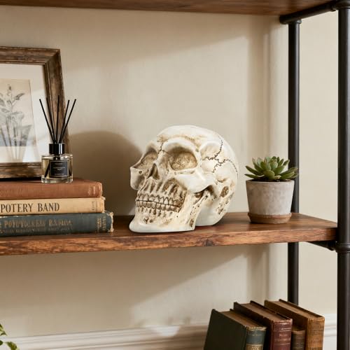 Estatua de Calavera de Resina para Decoración Hogar miniatura 6