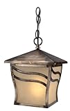 Hardware House H10-3299 Monaco Outdoor Fixture Hanging Light, Parisian Bronze