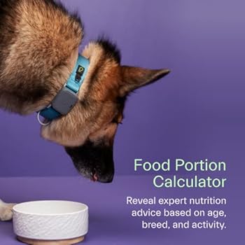 whistle dog tracker australia