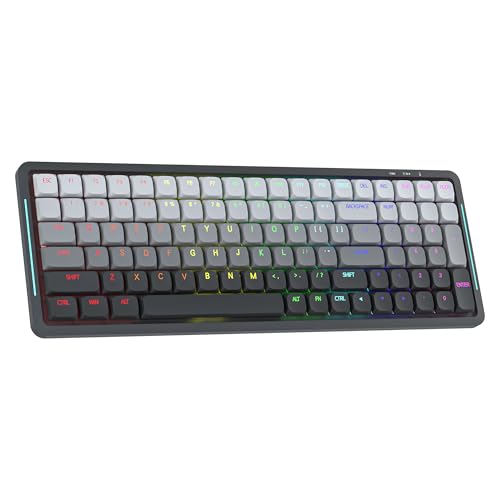 Newmen SK01 Low Profile Mechanical Keyboard,100 Keys Compact Layout Hot-swappable RGB Backlit Gaming...