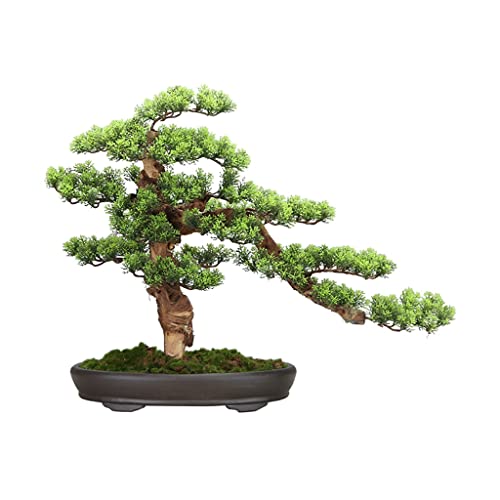 Pin artificiel intérieur en pot céramique pour décoration salon et bureau
