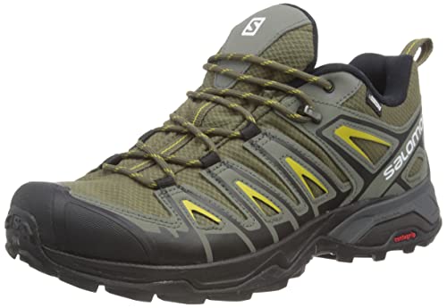 Salomon Men's X Ultra Pioneer CLIMASALOMON Waterproof Hiking Shoes