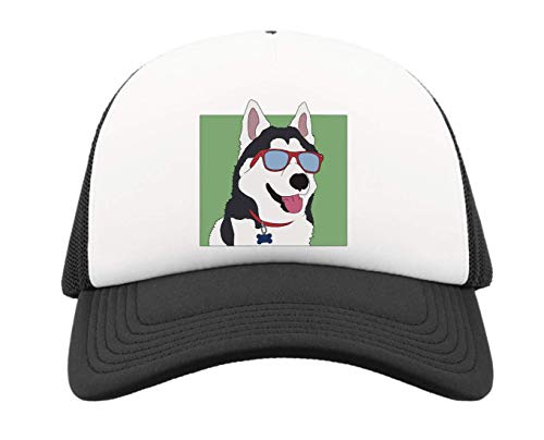 Gorra para perro con visera solar que evita el calor en cachorros activos