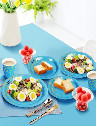 Image of Nkaiso 141Pcs Blue Gold Paper Plates and Napkins Party Supplies-20 Guests