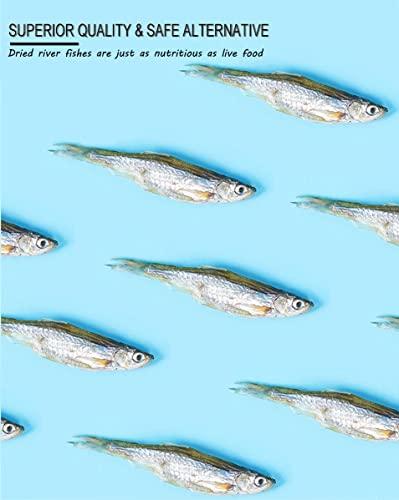 Bnyee 7 Oz Dried River Fish - 100% Natural Food For Turtles, Terrapins, Cats, Reptiles, Large Tropicals,Rodents #TOP3